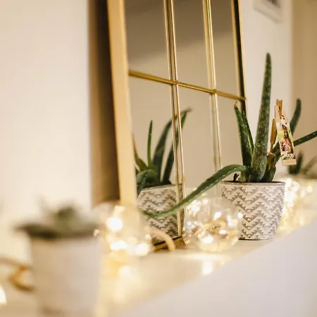 Apartman La Casa — Joli Nid Douillet Place St-sauveur *